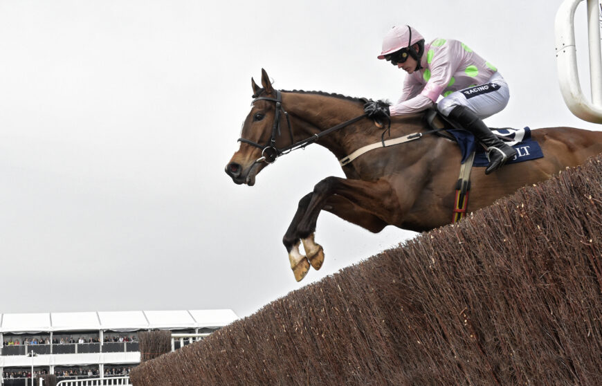 Vautour