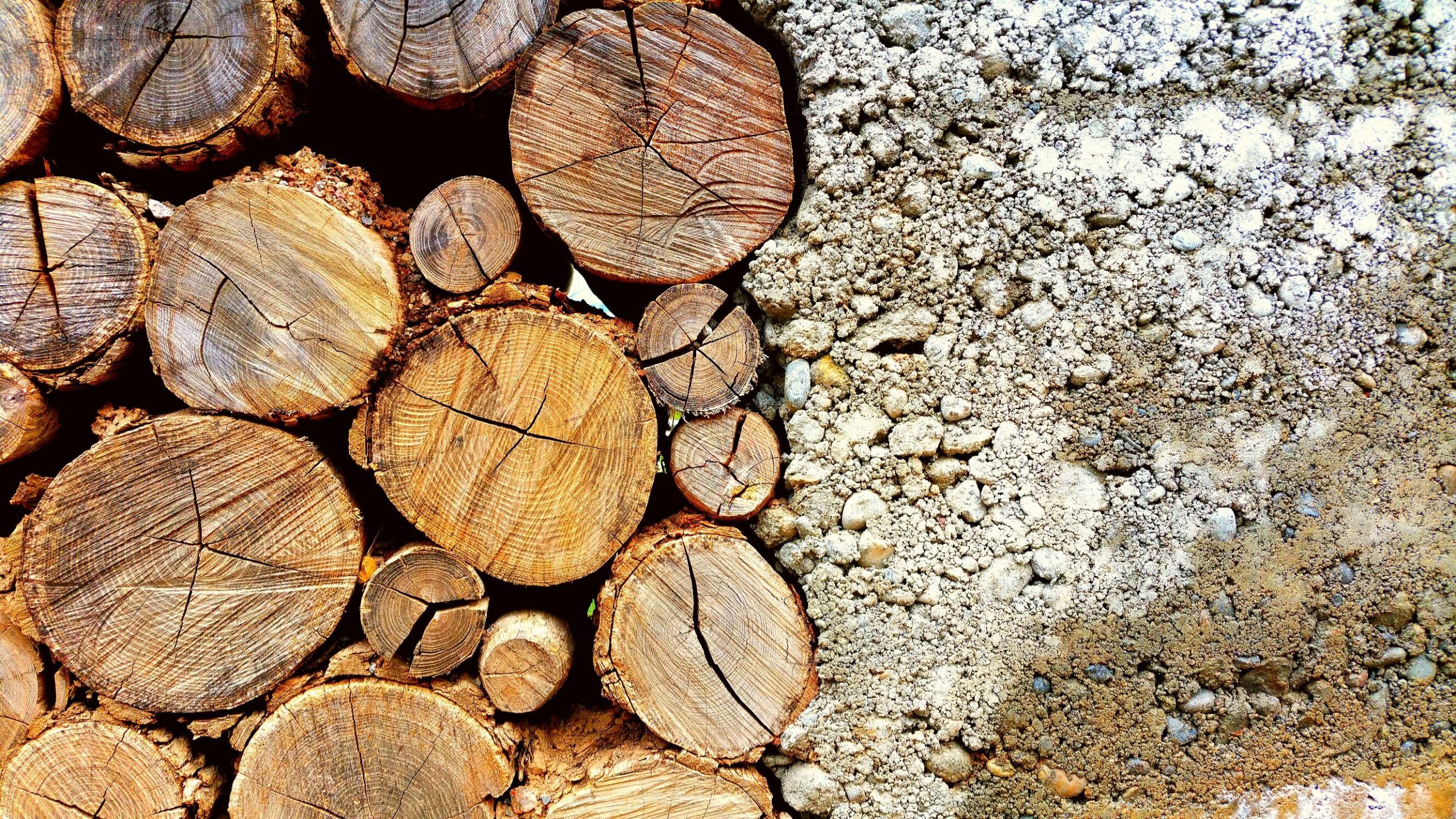Natural timber logs beside a textured concrete surface, illustrating lower-carbon construction material choices.